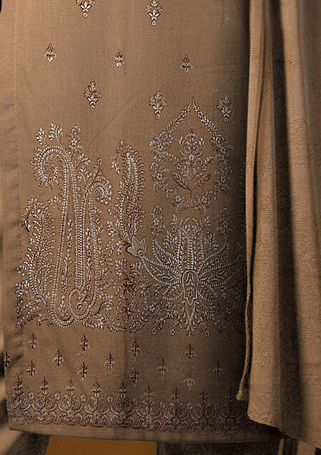 TABASSUM - Embroidered Dhanak